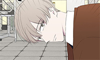 Standard BL